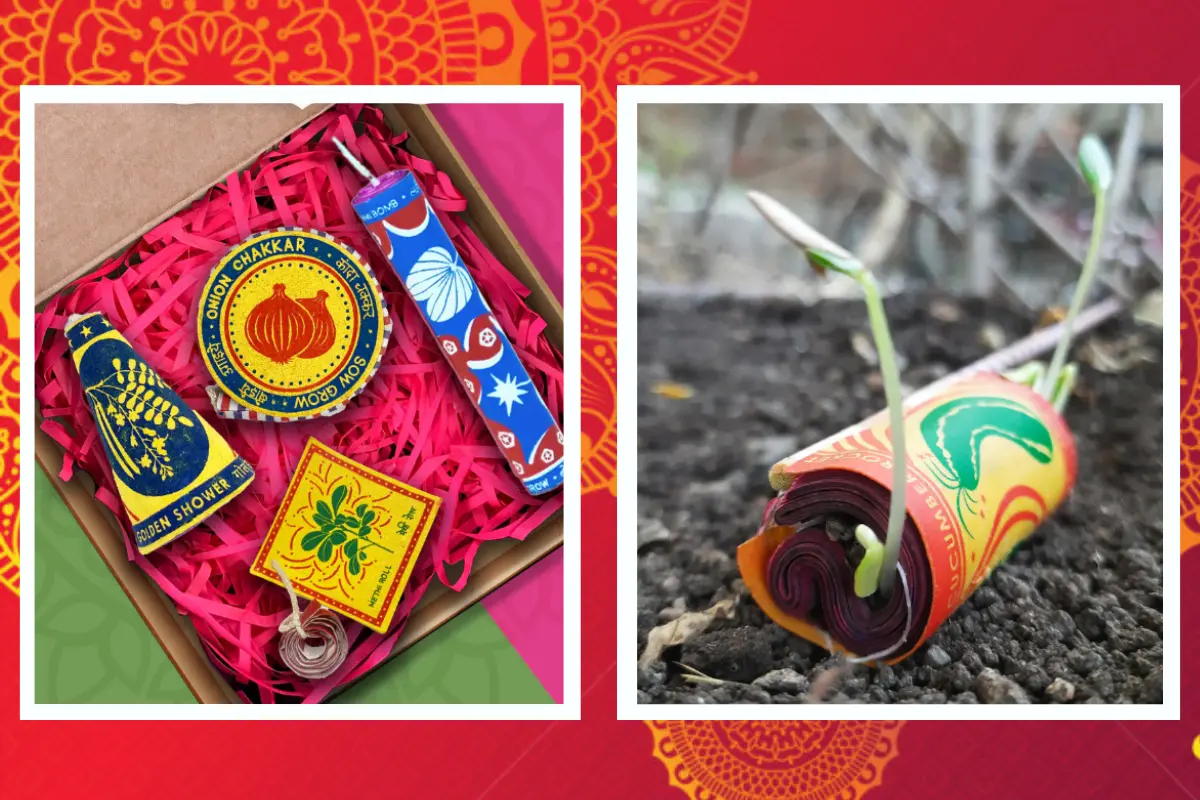 Plant-able Eco-friendly Diwali Crackers